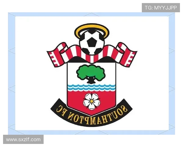 南安普顿足球俱乐部：历程、成就与未来发展潜力解析