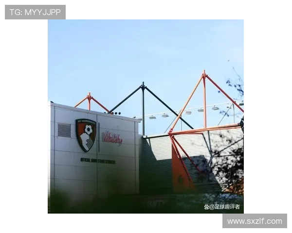 伯恩茅斯足球俱乐部发展历程及其在英超联赛中的崛起与挑战