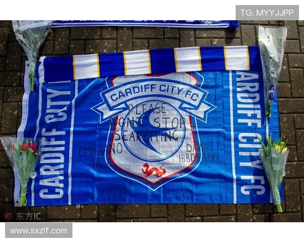 卡迪夫城俱乐部最新动态聚焦新赛季引援与战术调整目标升级冲击英冠前列 卡迪夫城俱乐部最新动态聚焦新赛季引援与战术调整目标升级冲击英冠前列